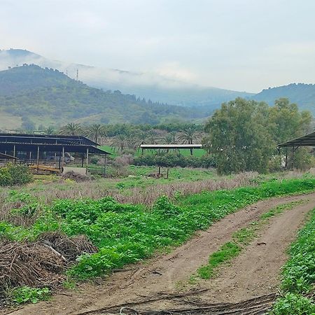 Family Cabin Menaẖemya المظهر الخارجي الصورة